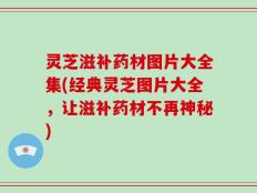 灵芝滋补药材图片大全集(经典灵芝图片大全，让滋补药材不再神秘)