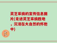灵芝采摘的宣传信息图片(走进灵芝采摘胜地，沉浸在大自然的怀抱中)