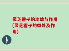 灵芝雹子的功效与作用(灵芝雹子的益处及作用)