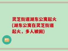 灵芝街道湖东公寓起火(湖东公寓在灵芝街道起火，多人被困)