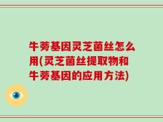 牛蒡基因灵芝菌丝怎么用(灵芝菌丝提取物和牛蒡基因的应用方法)