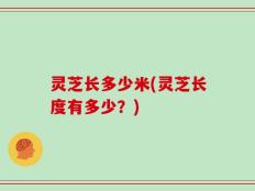 灵芝长多少米(灵芝长度有多少？)