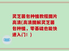 灵芝菌包种植教程图片高清(高清图解灵芝菌包种植，零基础也能快速入门！)