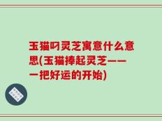 玉猫叼灵芝寓意什么意思(玉猫捧起灵芝——一把好运的开始)