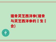 猪骨灵芝西洋参(猪骨与灵芝西洋参的養生組合)