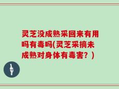 灵芝没成熟采回来有用吗有毒吗(灵芝采摘未成熟对身体有毒害？)