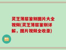 灵芝薄层鉴别图片大全视频(灵芝薄层鉴别详解，图片视频全收录)