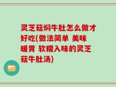 灵芝菇焖牛肚怎么做才好吃(做法简单 美味暖胃 软糯入味的灵芝菇牛肚汤)