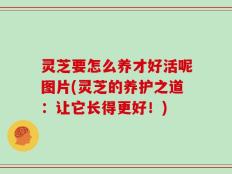 灵芝要怎么养才好活呢图片(灵芝的养护之道：让它长得更好！)