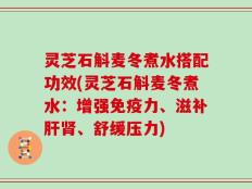 灵芝石斛麦冬煮水搭配功效(灵芝石斛麦冬煮水：增强免疫力、滋补肝肾、舒缓压力)