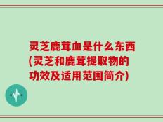 灵芝鹿茸血是什么东西(灵芝和鹿茸提取物的功效及适用范围简介)