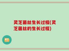灵芝菌丝生长过程(灵芝菌丝的生长过程)