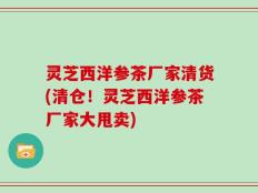 灵芝西洋参茶厂家清货(清仓！灵芝西洋参茶厂家大甩卖)