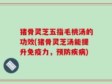 猪骨灵芝五指毛桃汤的功效(猪骨灵芝汤能提升免疫力，预防疾病)