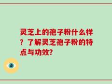 灵芝上的孢子粉什么样？了解灵芝孢子粉的特点与功效？