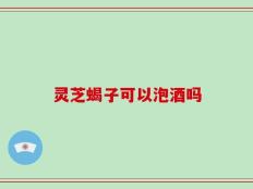 灵芝蝎子可以泡酒吗