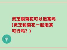 灵芝跟菊花可以泡茶吗(灵芝和菊花一起泡茶可行吗？)