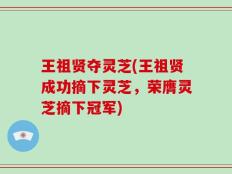 王祖贤夺灵芝(王祖贤成功摘下灵芝，荣膺灵芝摘下冠军)