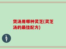 煲汤用哪种灵芝(灵芝汤的最佳配方)