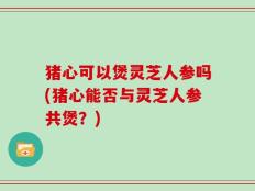 猪心可以煲灵芝人参吗(猪心能否与灵芝人参共煲？)