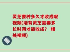 灵芝要种多久才收成呢视频(培育灵芝需要多长时间才能收成？-相关视频)