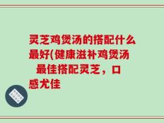 灵芝鸡煲汤的搭配什么最好(健康滋补鸡煲汤  最佳搭配灵芝，口感尤佳