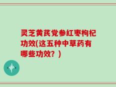 灵芝黄芪党参红枣枸杞功效(这五种中草药有哪些功效？)