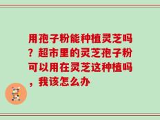 用孢子粉能种植灵芝吗？超市里的灵芝孢子粉可以用在灵芝这种植吗，我该怎么办