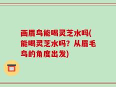 画眉鸟能喝灵芝水吗(能喝灵芝水吗？从眉毛鸟的角度出发)