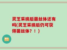 灵芝采摘后菌丝体还有吗(灵芝采摘后仍可获得菌丝体？！)