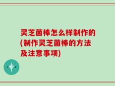 灵芝菌棒怎么样制作的(制作灵芝菌棒的方法及注意事项)