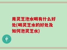 用灵芝泡水喝有什么好处(喝灵芝水的好处及如何泡灵芝水)