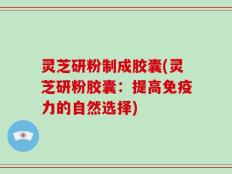 灵芝研粉制成胶囊(灵芝研粉胶囊：提高免疫力的自然选择)