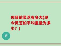 现目前灵芝有多大(现今灵芝的平均重量为多少？)