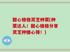 甜心格格灵芝种菜(种菜达人！甜心格格分享灵芝种植心得！)