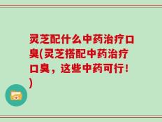 灵芝配什么中药治疗口臭(灵芝搭配中药治疗口臭，这些中药可行！)