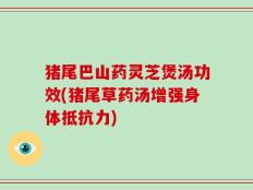 猪尾巴山药灵芝煲汤功效(猪尾草药汤增强身体抵抗力)