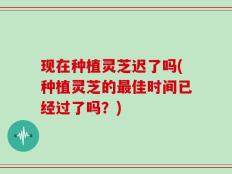 现在种植灵芝迟了吗(种植灵芝的最佳时间已经过了吗？)