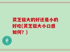 灵芝菇大的好还是小的好吃(灵芝菇大小口感如何？)