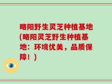 略阳野生灵芝种植基地(略阳灵芝野生种植基地：环境优美，品质保障！)
