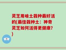 灵芝用啥土栽种最好活的(最佳栽种土：神奇灵芝如何活得更健康？)