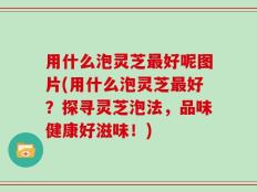 用什么泡灵芝最好呢图片(用什么泡灵芝最好？探寻灵芝泡法，品味健康好滋味！)