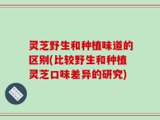 灵芝野生和种植味道的区别(比较野生和种植灵芝口味差异的研究)