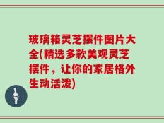玻璃箱灵芝摆件图片大全(精选多款美观灵芝摆件，让你的家居格外生动活泼)