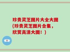 珍贵灵芝图片大全大图(珍贵灵芝图片合集，欣赏高清大图！)