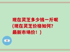 现在灵芝多少钱一斤呢(现在灵芝价格如何？最新市场价！)