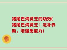 猪尾巴炖灵芝的功效(猪尾巴炖灵芝：滋补养颜，增强免疫力)