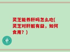 灵芝能养肝吗怎么吃(灵芝对肝脏有益，如何食用？)