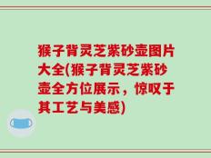 猴子背灵芝紫砂壶图片大全(猴子背灵芝紫砂壶全方位展示，惊叹于其工艺与美感)