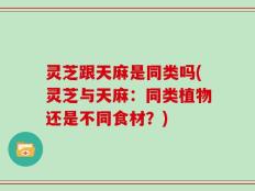 灵芝跟天麻是同类吗(灵芝与天麻：同类植物还是不同食材？)